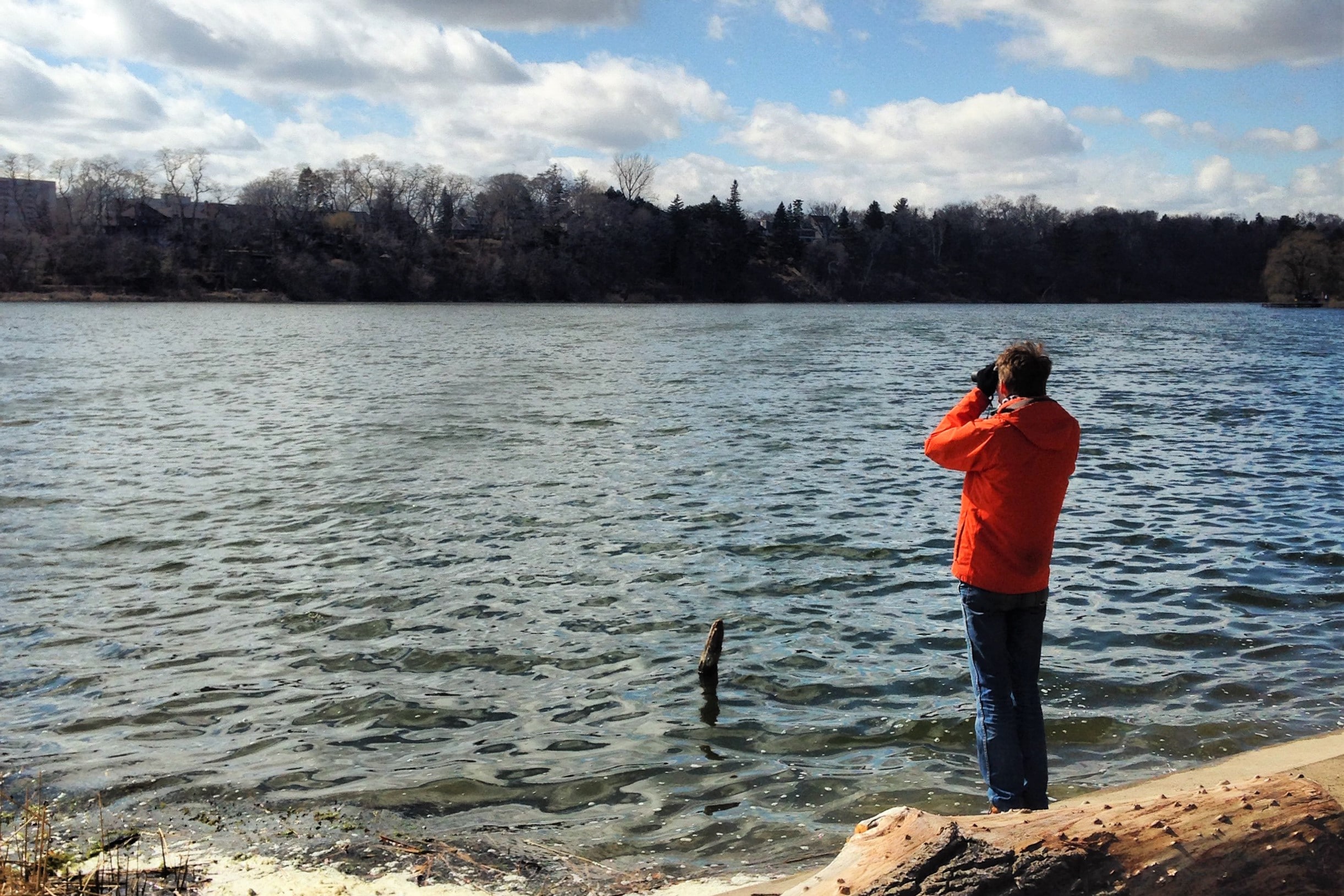 Ben-By-High-Park-Pond-Birdwatching.JPG