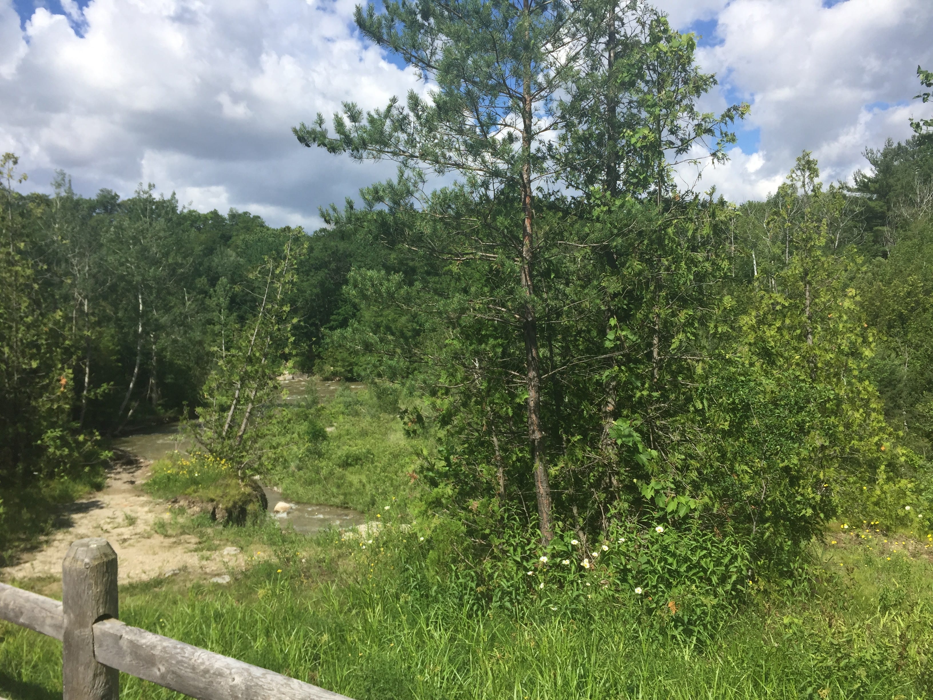 Photo of River Landscape